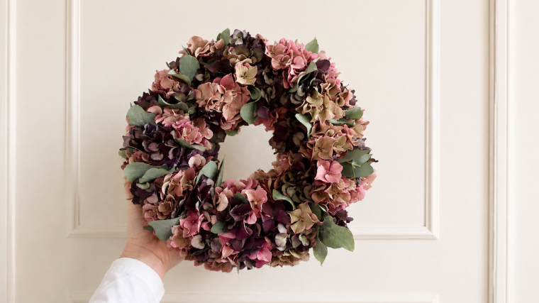 Hortensia 2026 Sanne